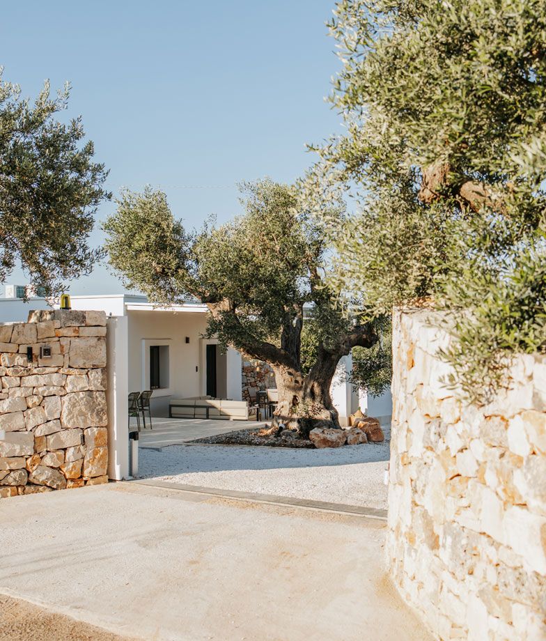 trullo-puglia_galleria_diamante_-106